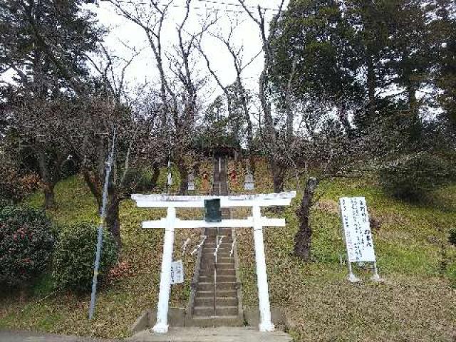 神奈川県横浜市青葉区寺家町880 寺家熊野神社の写真38