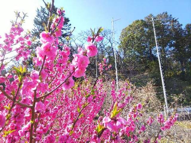 神奈川県横浜市青葉区寺家町880 寺家熊野神社の写真49