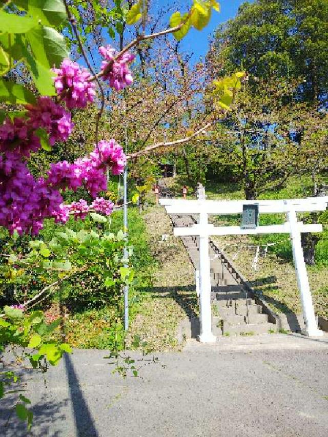 神奈川県横浜市青葉区寺家町880 寺家熊野神社の写真50