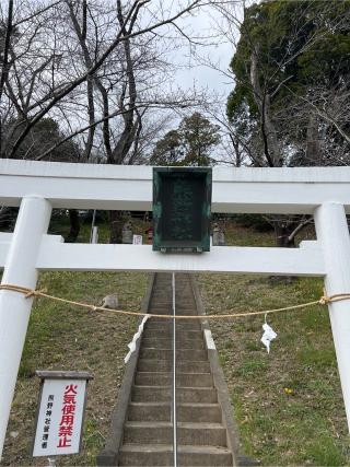 寺家熊野神社の参拝記録(⛩️🎠🐢まめ🐢🎠⛩️さん)
