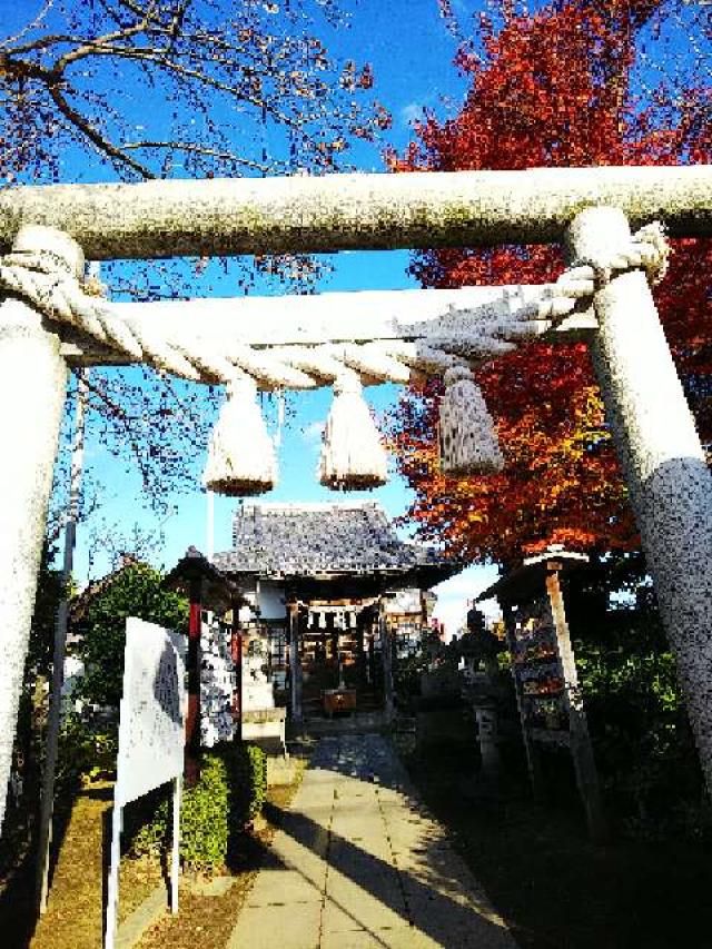 神奈川県横浜市青葉区柿の木台28ｰ2 醫藥神社の写真3