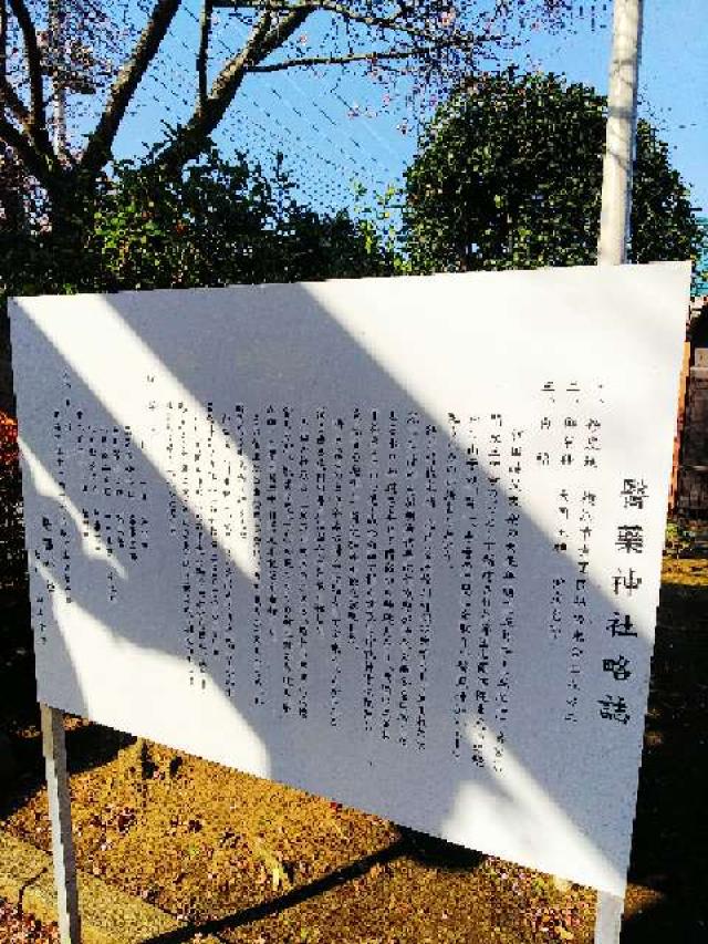 神奈川県横浜市青葉区柿の木台28ｰ2 醫藥神社の写真12