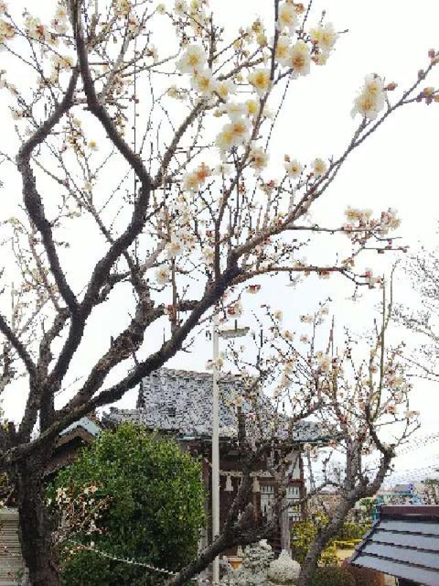 神奈川県横浜市青葉区柿の木台28ｰ2 醫藥神社の写真73