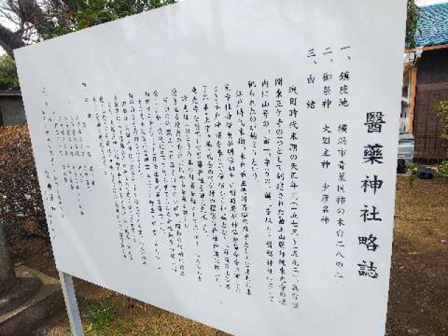 神奈川県横浜市青葉区柿の木台28ｰ2 醫藥神社の写真98