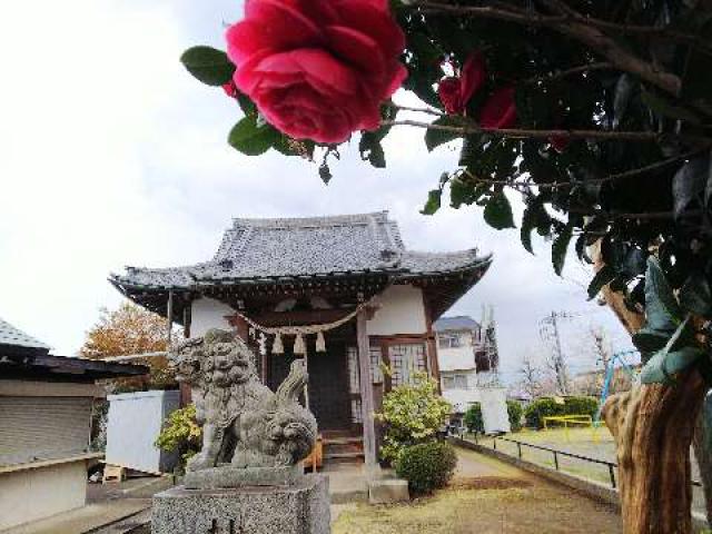 神奈川県横浜市青葉区柿の木台28ｰ2 醫藥神社の写真100