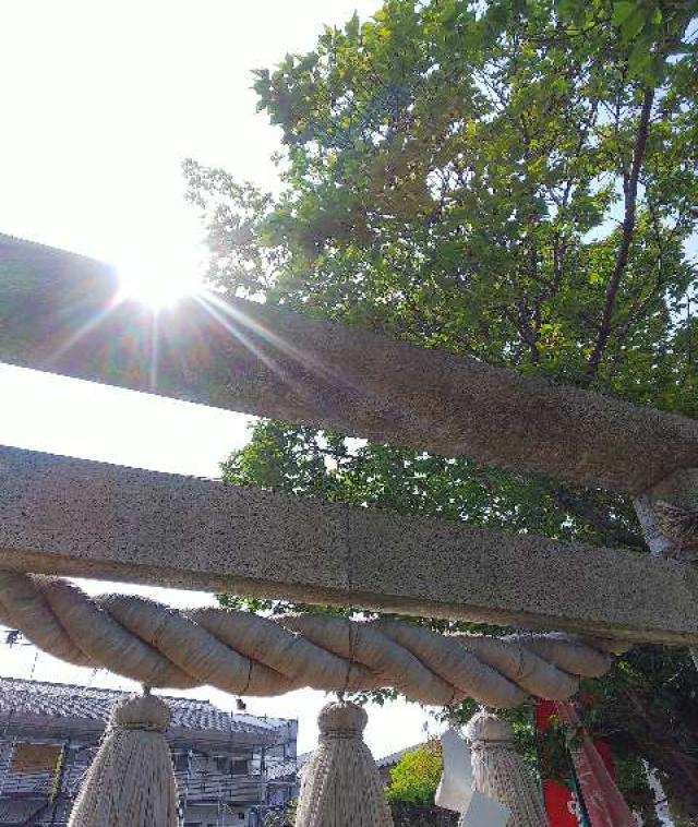 神奈川県横浜市青葉区柿の木台28ｰ2 醫藥神社の写真112