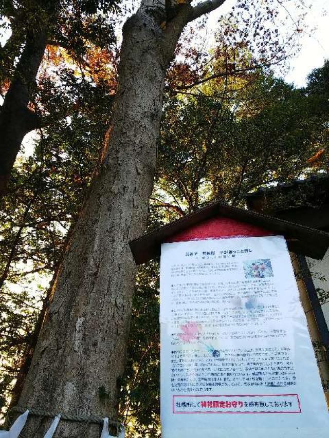 神奈川県横浜市青葉区しらとり台61ｰ12 神鳥前川神社の写真7