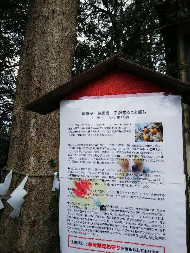 神奈川県横浜市青葉区しらとり台61ｰ12 神鳥前川神社の写真13