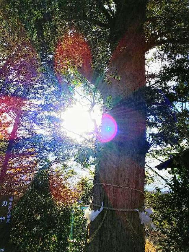 神奈川県横浜市青葉区しらとり台61ｰ12 神鳥前川神社の写真16