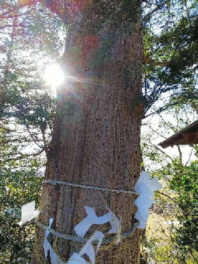 神奈川県横浜市青葉区しらとり台61ｰ12 神鳥前川神社の写真25