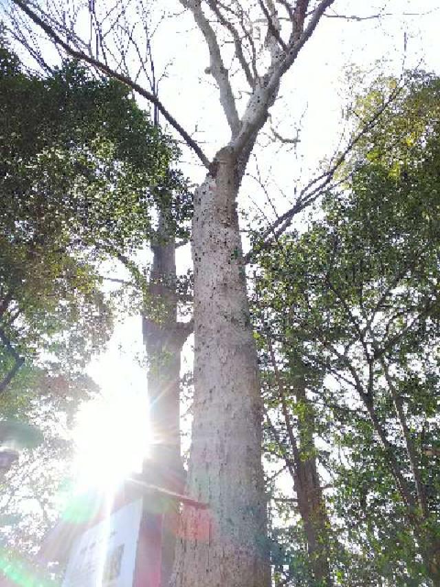 神奈川県横浜市青葉区しらとり台61ｰ12 神鳥前川神社の写真54