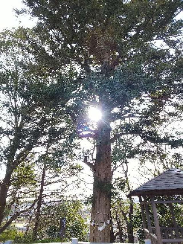 神奈川県横浜市青葉区しらとり台61ｰ12 神鳥前川神社の写真57