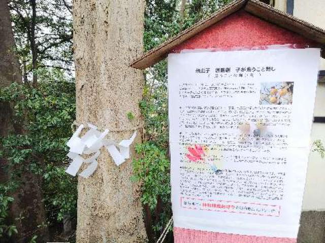 神奈川県横浜市青葉区しらとり台61ｰ12 神鳥前川神社の写真64