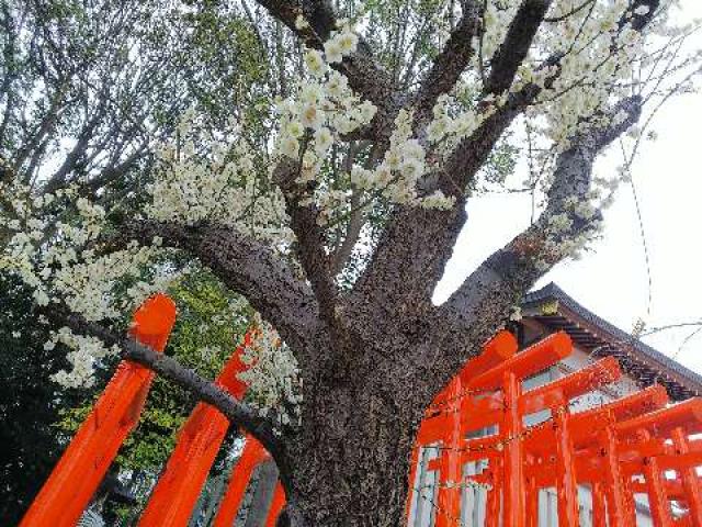 神奈川県横浜市青葉区しらとり台61ｰ12 神鳥前川神社の写真66