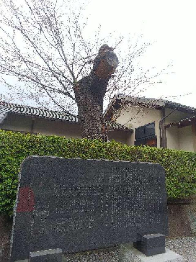 神奈川県横浜市青葉区しらとり台61ｰ12 神鳥前川神社の写真68