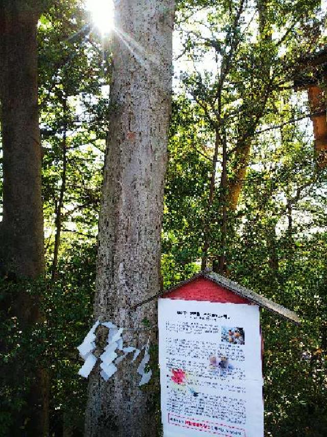 神奈川県横浜市青葉区しらとり台61ｰ12 神鳥前川神社の写真95