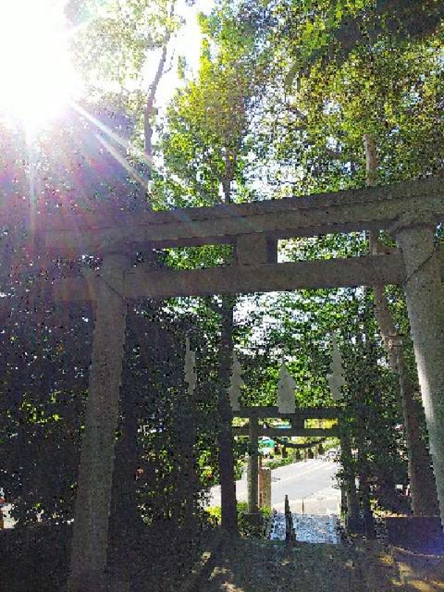 神奈川県横浜市青葉区しらとり台61ｰ12 神鳥前川神社の写真99