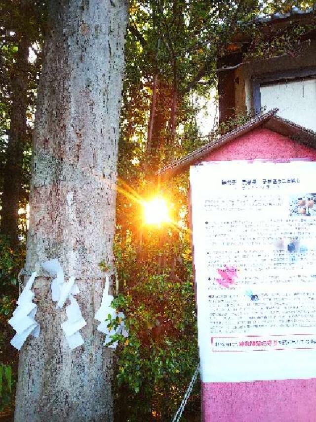 神奈川県横浜市青葉区しらとり台61ｰ12 神鳥前川神社の写真104