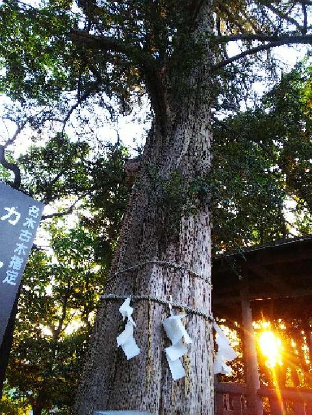 神奈川県横浜市青葉区しらとり台61ｰ12 神鳥前川神社の写真105