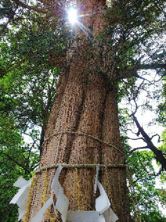 神奈川県横浜市青葉区しらとり台61ｰ12 神鳥前川神社の写真109