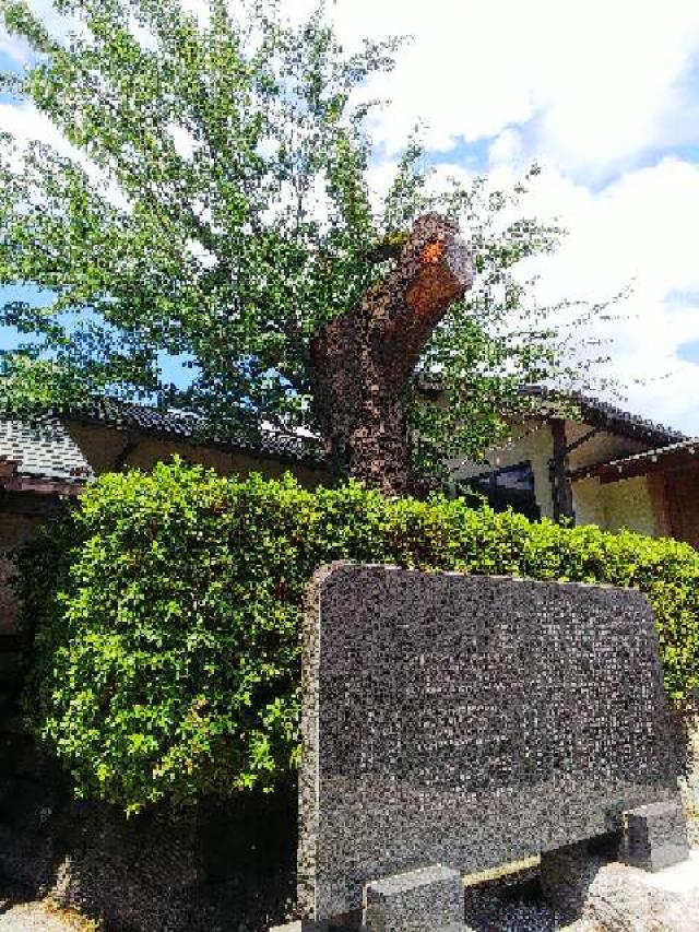 神奈川県横浜市青葉区しらとり台61ｰ12 神鳥前川神社の写真114