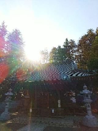 劔神社の参拝記録(またたびさん)