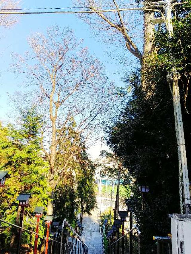 神奈川県横浜市青葉区荏田町822 劔神社の写真22