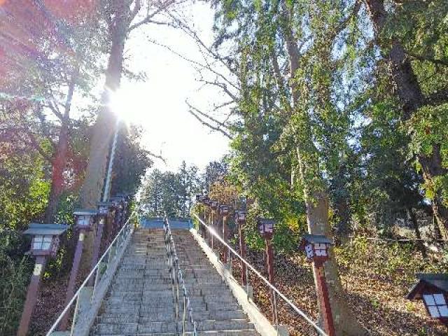 神奈川県横浜市青葉区荏田町822 劔神社の写真33