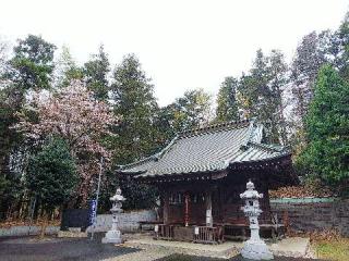 劔神社の参拝記録(またたびさん)