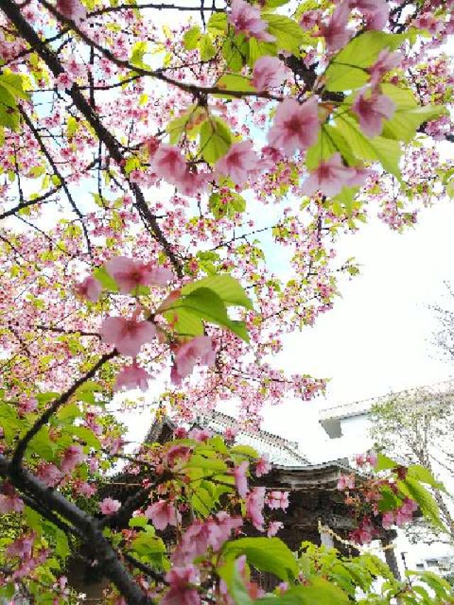 神奈川県横浜市青葉区新石川町1ｰ24ｰ9 驚神社の写真37