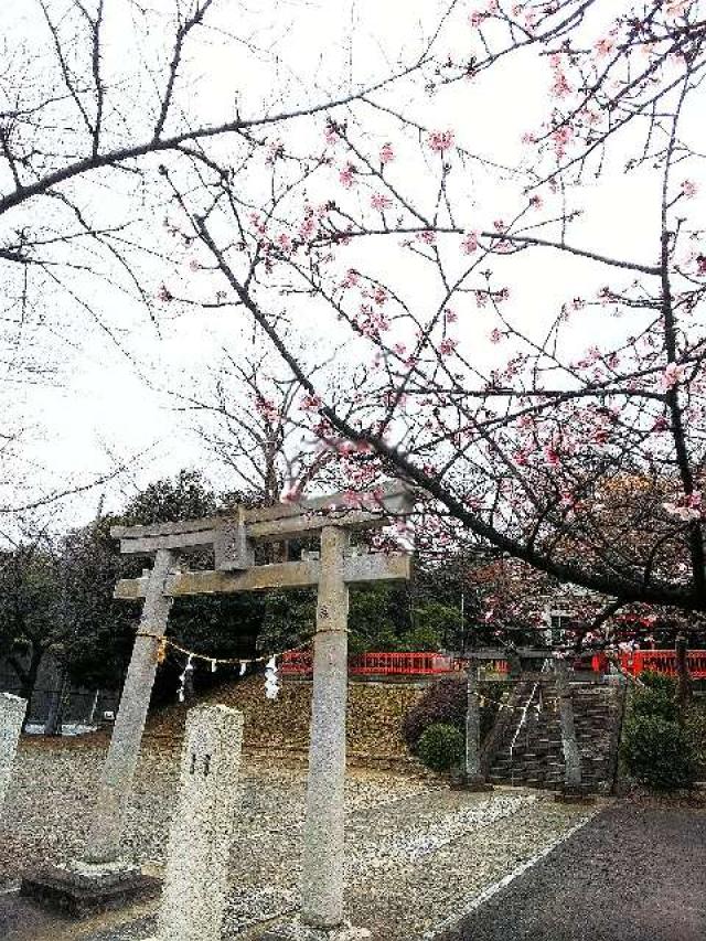 神奈川県横浜市都筑区折本町１４５８ 淡島社の写真44