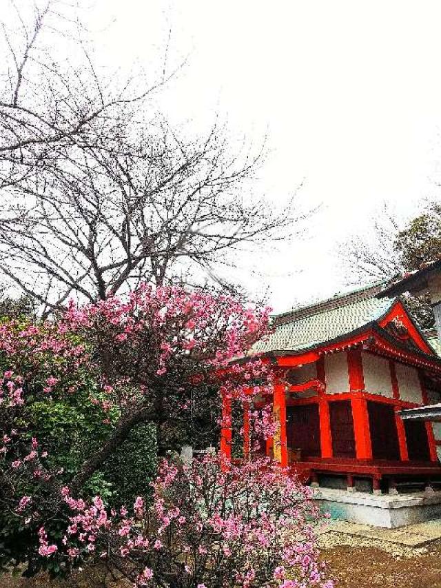 神奈川県横浜市都筑区折本町１４５８ 淡島社の写真48