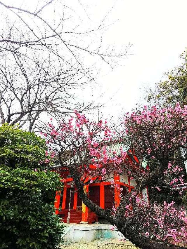 神奈川県横浜市都筑区折本町１４５８ 淡島社の写真49