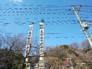 淡島社の参拝記録(またたびさん)