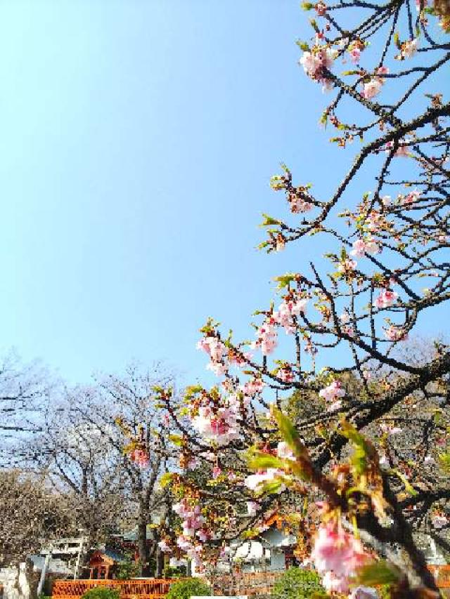 神奈川県横浜市都筑区折本町１４５８ 淡島社の写真52