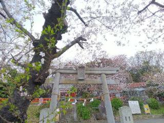 淡島社の参拝記録(またたびさん)