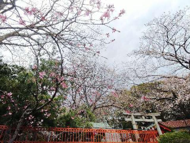 神奈川県横浜市都筑区折本町１４５８ 淡島社の写真60