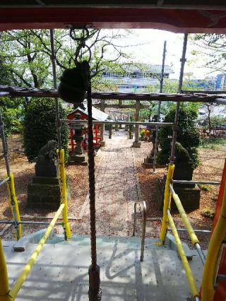 淡島社の参拝記録(またたびさん)