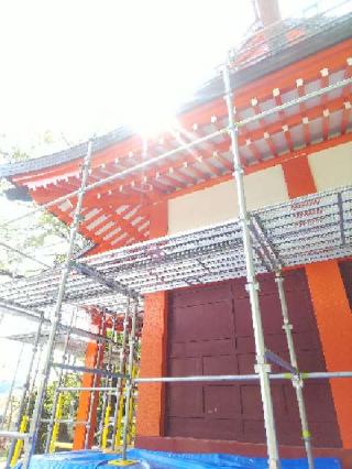 淡島社の参拝記録(またたびさん)