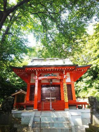 淡島社の参拝記録(またたびさん)