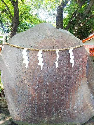 淡島社の参拝記録(またたびさん)