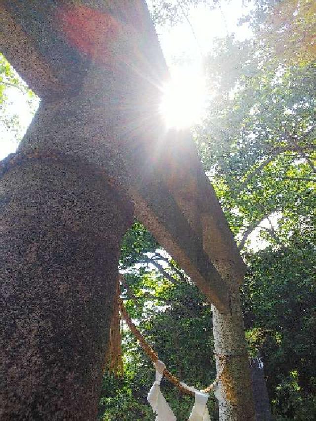神奈川県横浜市都筑区折本町１４５８ 淡島社の写真87