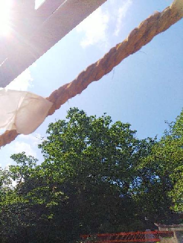 神奈川県横浜市都筑区折本町１４５８ 淡島社の写真92