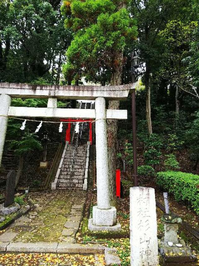 神奈川県横浜市都筑区茅ｹ崎中央57-18 横浜茅ヶ崎 杉山神社の写真2
