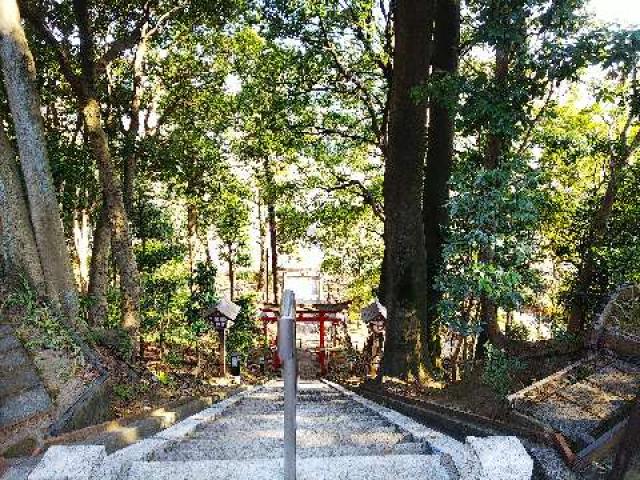 神奈川県横浜市都筑区茅ｹ崎中央57-18 横浜茅ヶ崎 杉山神社の写真34