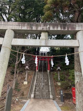 横浜茅ヶ崎 杉山神社の参拝記録(⛩️🐍🐢まめ🐢🐍⛩️さん)
