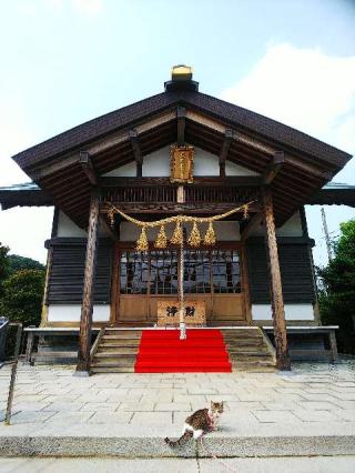 天照皇大神の参拝記録(またたびさん)