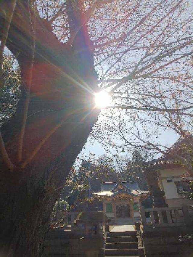 神奈川県横浜市都筑区勝田町1231 杉山神社の写真20