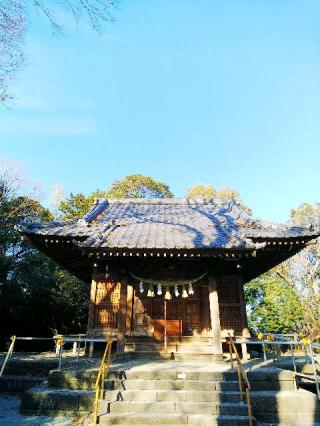 山田神社の参拝記録(またたびさん)