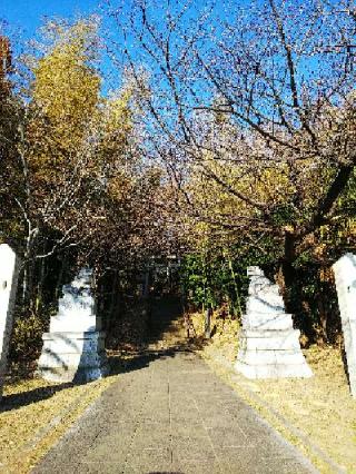 山田神社の参拝記録(またたびさん)